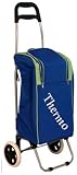 Large Folding Thermo Bag - Colours May Vary.