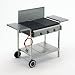PLATTEN-GASGRILL, 3-flammig, 16,5 kW, mit Seitenablage, Landmann