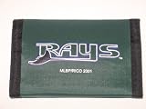 Tampa Bay Devil Rays MLB Furniture - Toy Chest