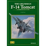 Grumman F-14 Tomcatvon "Andy Evans"