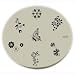 Konad Stamping Nail Art Image Plate - M20