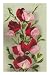 Crimson Sweet Peas Premium Poster Print, 8x12