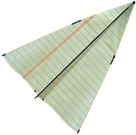 Cellular Kite Paper Airplane by New Tech Kites