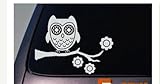 Owl Sticker Decal Vinyl Car Truck Window Laptop Decorate College *A21*