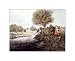Fly-Fishing for Trout Finest LAMINATED Print James Pollard 19x17