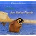 Otto, der kleine Pinguin