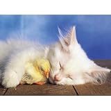 Sweet Dreams Puzzle