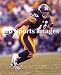 Troy Polamalu Pittsburgh Steelers Glossy 8x10 Photo