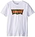 Levi's Big Boys' Graphic Tee