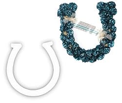 Cardboard Horseshoe