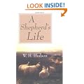 Shepherd's Life, A