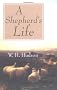 Shepherd's Life, A