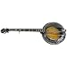 5 String Banjos