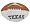 Texas Longhorns