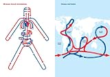 picture of Visual Aid: Stuff You\