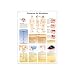 3B Scientific Glossy Paper Decubitus Ulcers Anatomical Chart