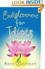Enlightenment for Idiots