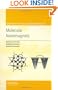 Molecular Nanomagnets (Mesoscopic Physics and Nanotechnology)