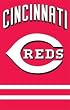 Cincinnati Reds Applique Embroidered Banner Flag 44"x28" MLB Baseball Fan Shop Sports Team Merchandise