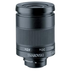 Swarovski 20x60xs Eyepiece