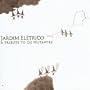 Jardim El�trico: a Tribute to Os Mutantes