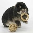 Peter's Rabbit and Small Animal Chew Ring Peter's Rabbit and Small Animal Chew Ring
