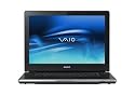 Sony VAIO VGN-AR790U/B 17-inch Digital Studio Laptop (Intel Core 2 Duo T9300 Processor, 4 GB RAM, 400 GB Hard Drive, Vista Ultimate)