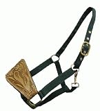 Horse Size Green Nylon Halter with Hand Tooled Leather Nose Light Oil Leather