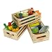 Healthy Eating Fish Set