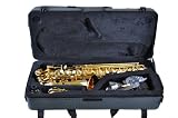 Hallelu HAS-200 Eb Alto Saxophone W/case 1 Year Warranty.