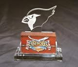 Arizona Cardinals Business Card Holder in Gift Box