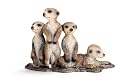 Schleich Meerkat pups