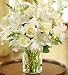 Flowers by 1800Flowers - Classic All White Arrangement for Sympathy - Large