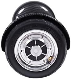 Fish 10 Inch Self Balancing Scooter Drifting Board Electric Scooter with Bluetooth Speaker 10" Two Wheel (Black)