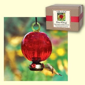 Dewdrop Hummingbird Feeder Ruby Gift Set