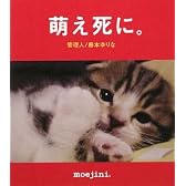 萌え死に。