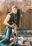 Maxwell Caulfield autographed 8x10 Photo (Grease 2)