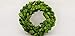 Tradingsmith Preserved Boxwood Candle Ring - 6 inch