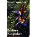 Small Wonder