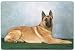 Belgian Malinois Cutting Board