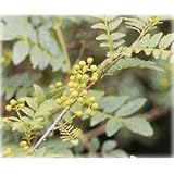 ���i�̏ڍ�