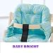 BABYDAN CHAIR CUSHION DONKEY BLUE