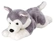 Duke 80659 Siberian Husky Wild Republic Paws and Claws
