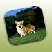 Welsh Corgi Pembroke Mouse Pad - Full Body