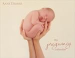 Anne Geddes Pregnancy: Wall Calendar