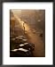 Early Morning On Heng Boun Street, Vientiane, Laos Places Framed Art Poster Print by Bernard Napthine, 18x22