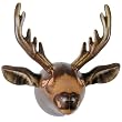 INFLATABLE  MOOSE  HEAD