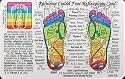 Inner Light Resources Rainbow Cards & Charts Series - Foot Reflexology (rainbw coded) - Original Rainbow Series Wallet Cards