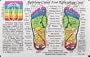 Inner Light Resources Rainbow Cards & Charts Series - Foot Reflexology (rainbw coded) - Original Rainbow Series Wallet Cards