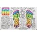Inner Light Resources Rainbow Cards & Charts Series - Foot Reflexology (rainbw coded) - Original Rainbow Series Wallet Cards